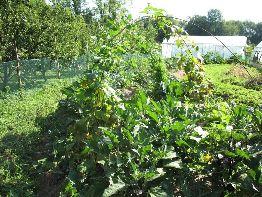 Bioagriturismo Vegan Campo Di Cielo Cesiomaggiore Extérieur photo